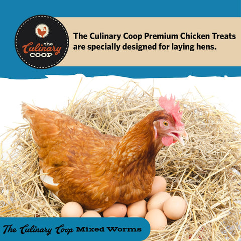Protein-rich Fluker's worm blend supports healthy poultry growth