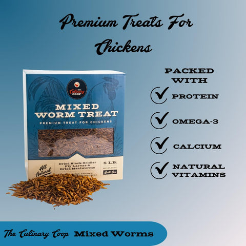 Fluker's dried mealworms in a serving bowl for quick chicken snack
