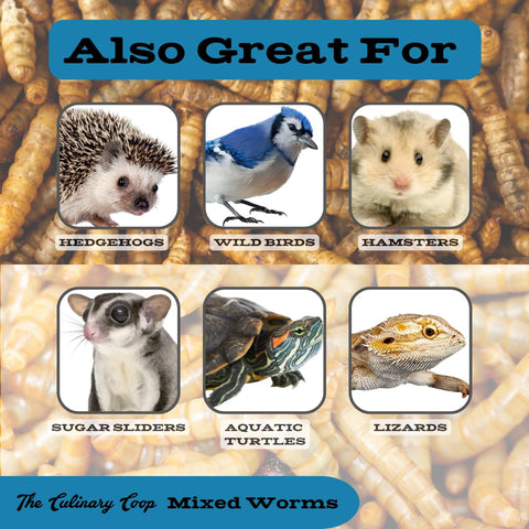 Fluker's worm mix labeled organic and non-GMO for trusted ingredients