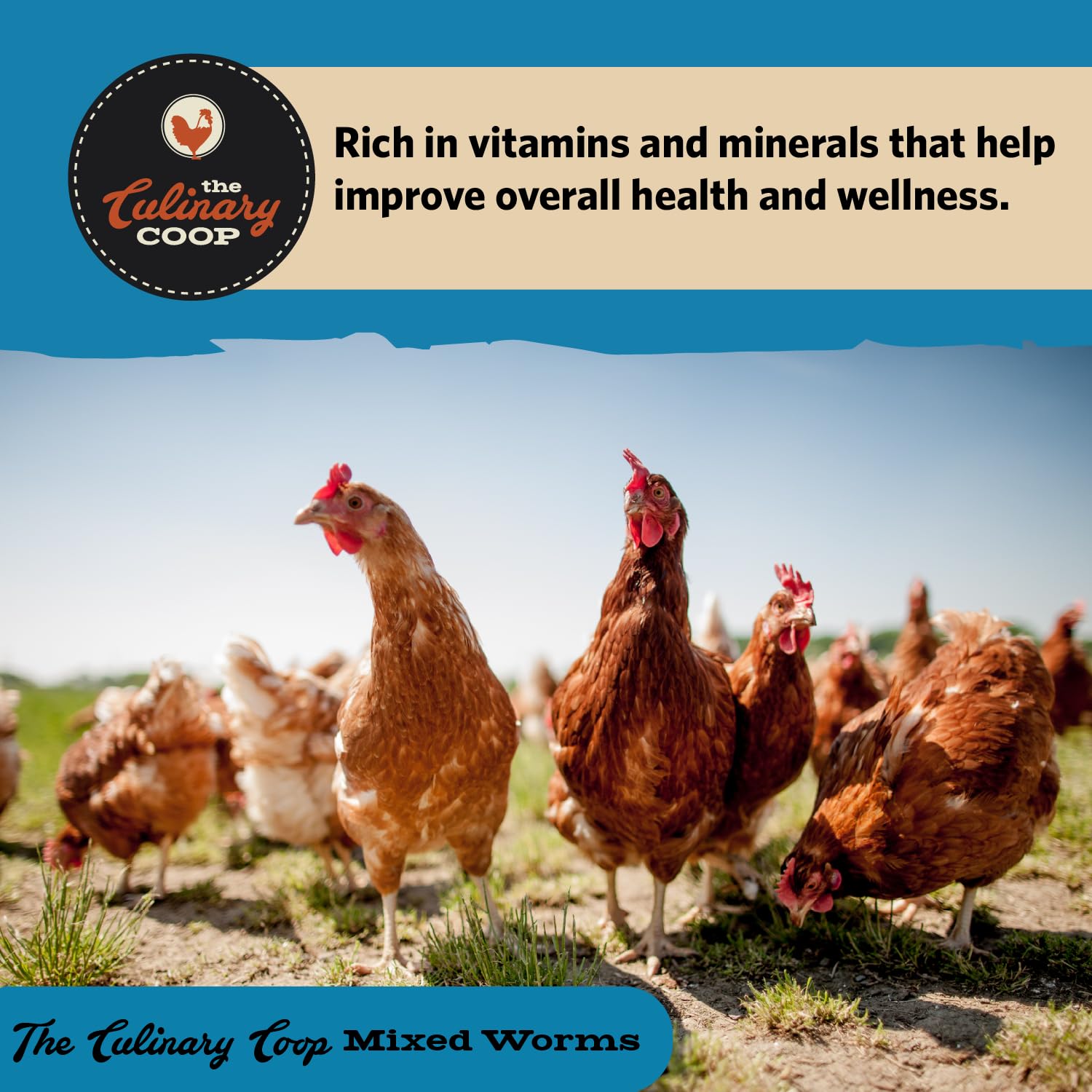 Fluker's worm mix used as a versatile supplement to regular diets