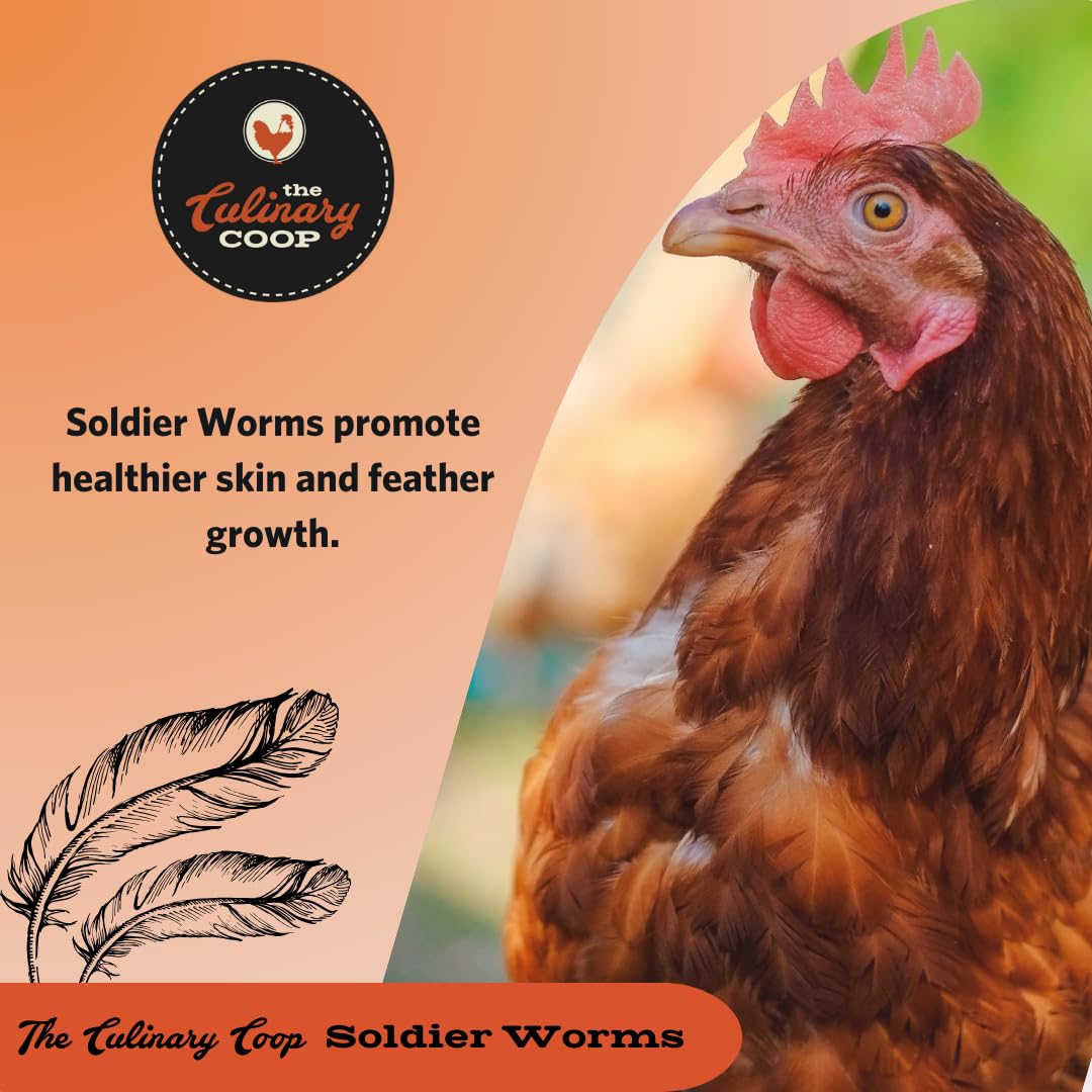 Fluker's soldierworms bulk-5lb packaging emphasizes value and storage