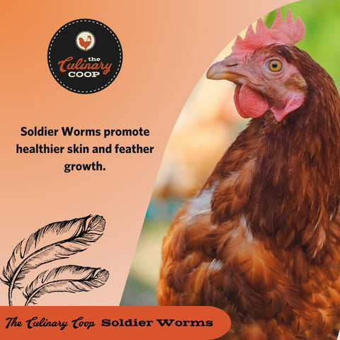 Fluker's soldierworms bulk-5lb packaging emphasizes value and storage