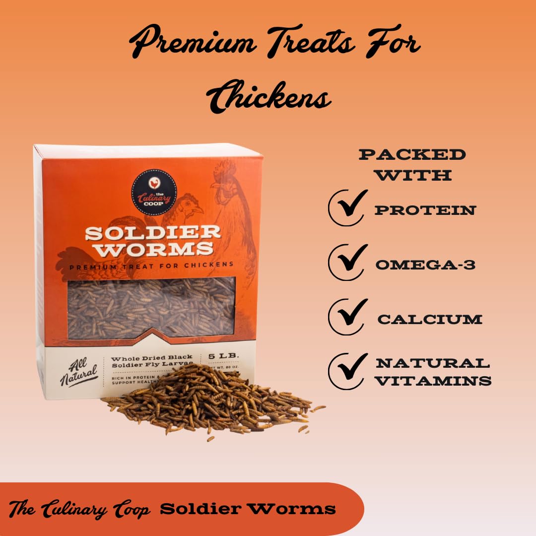 Fluker's soldierworms calcium-boost demonstrates nourishing poultry supplement
