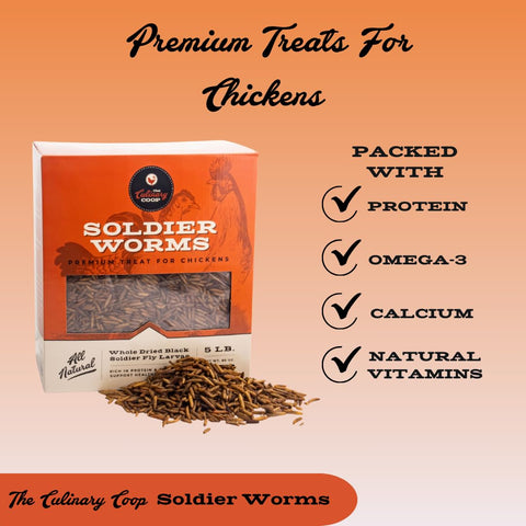 Fluker's soldierworms calcium-boost demonstrates nourishing poultry supplement