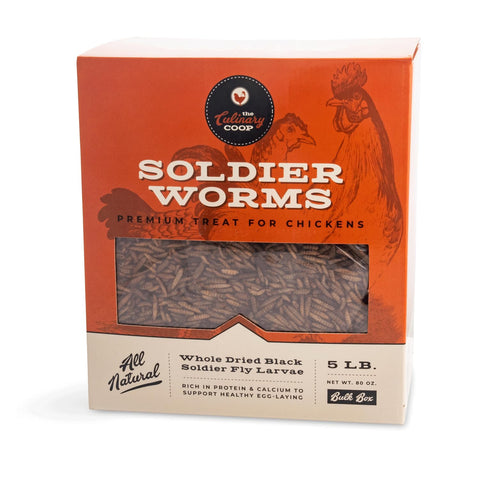 Fluker's soldierworms chicken-treat displayed as a protein-rich snack for hens