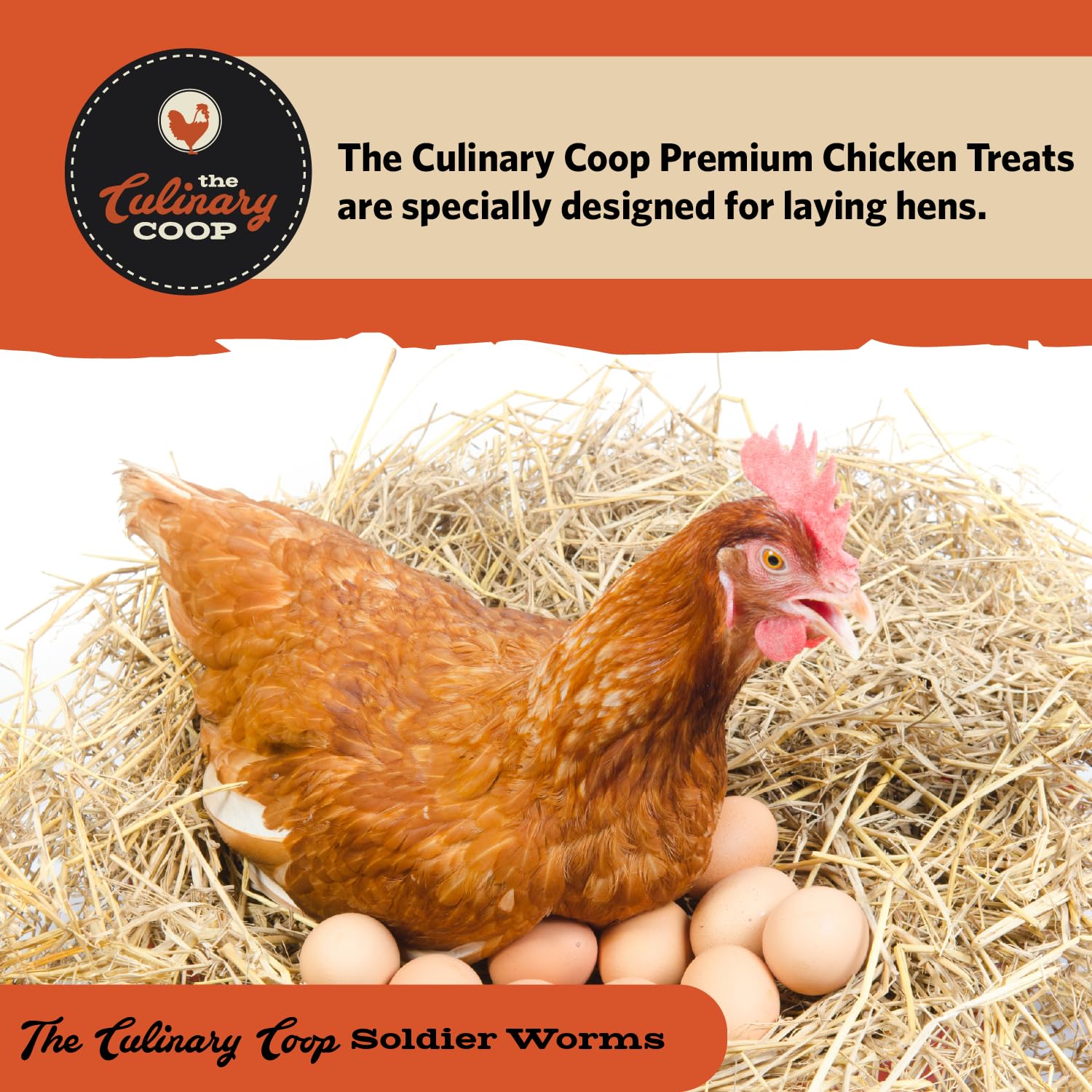 Fluker's soldierworms laying-hens illustrates support for egg production