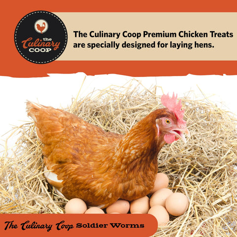 Fluker's soldierworms laying-hens illustrates support for egg production