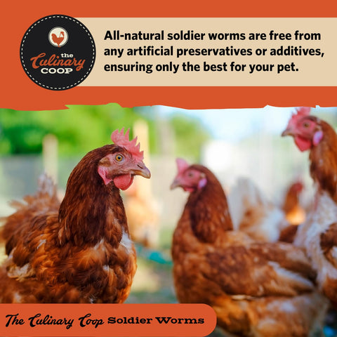 Fluker's soldierworms pets-diet-supplement suggests versatile treat for small mammals