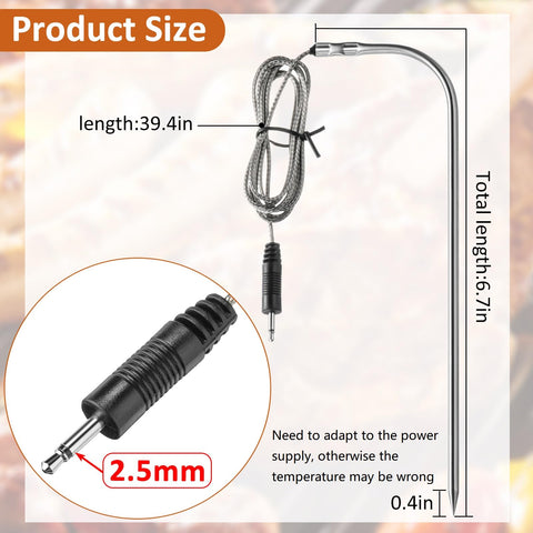 Flutesan 100-ohm wire close-up, high-temp sensing for accurate readings.