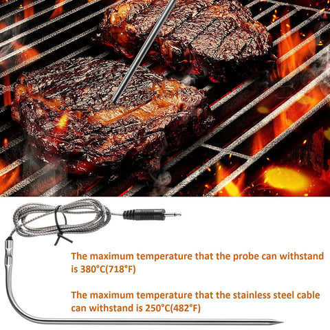 Flutesan probe in oven-use scenario highlights reliable browning support.