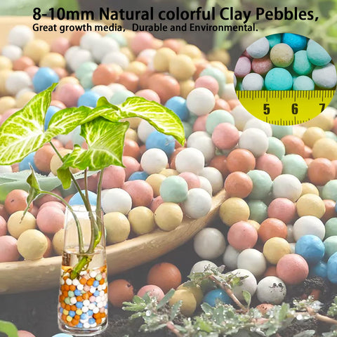 FlwSoil colorful Leca pebbles brighten indoor spaces while supporting plant health.