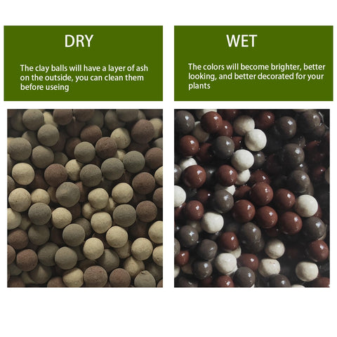 FlwSoil Leca pebbles create a drainage layer improving moisture balance.