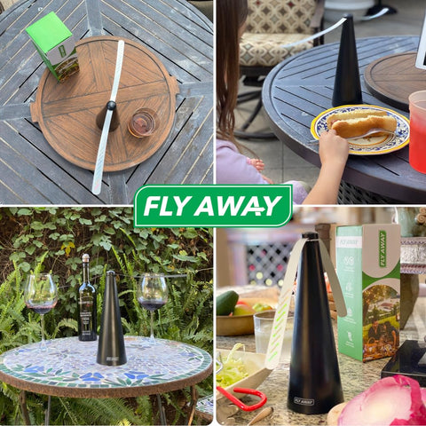 Fly Away battery-powered fan is portable for any gathering
