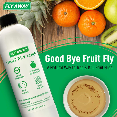 Fly Away trap in a busy kitchen demonstrating practical use.