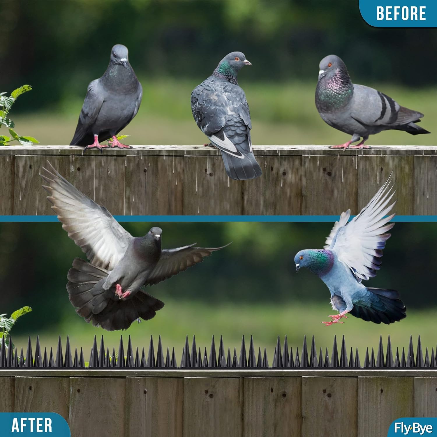 Fly-Bye 2,500 spikes provide complete coverage for large installations.