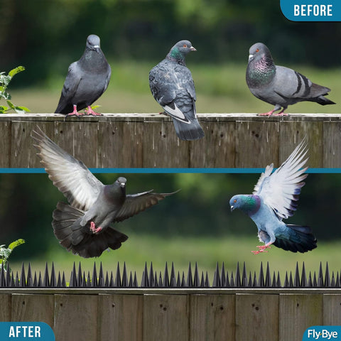 Fly-Bye 2,500 spikes provide complete coverage for large installations.