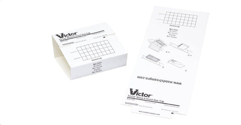 Fly Victor Tin Cat Mice Glue Board 72‑count box for rodent detection and easy disposal