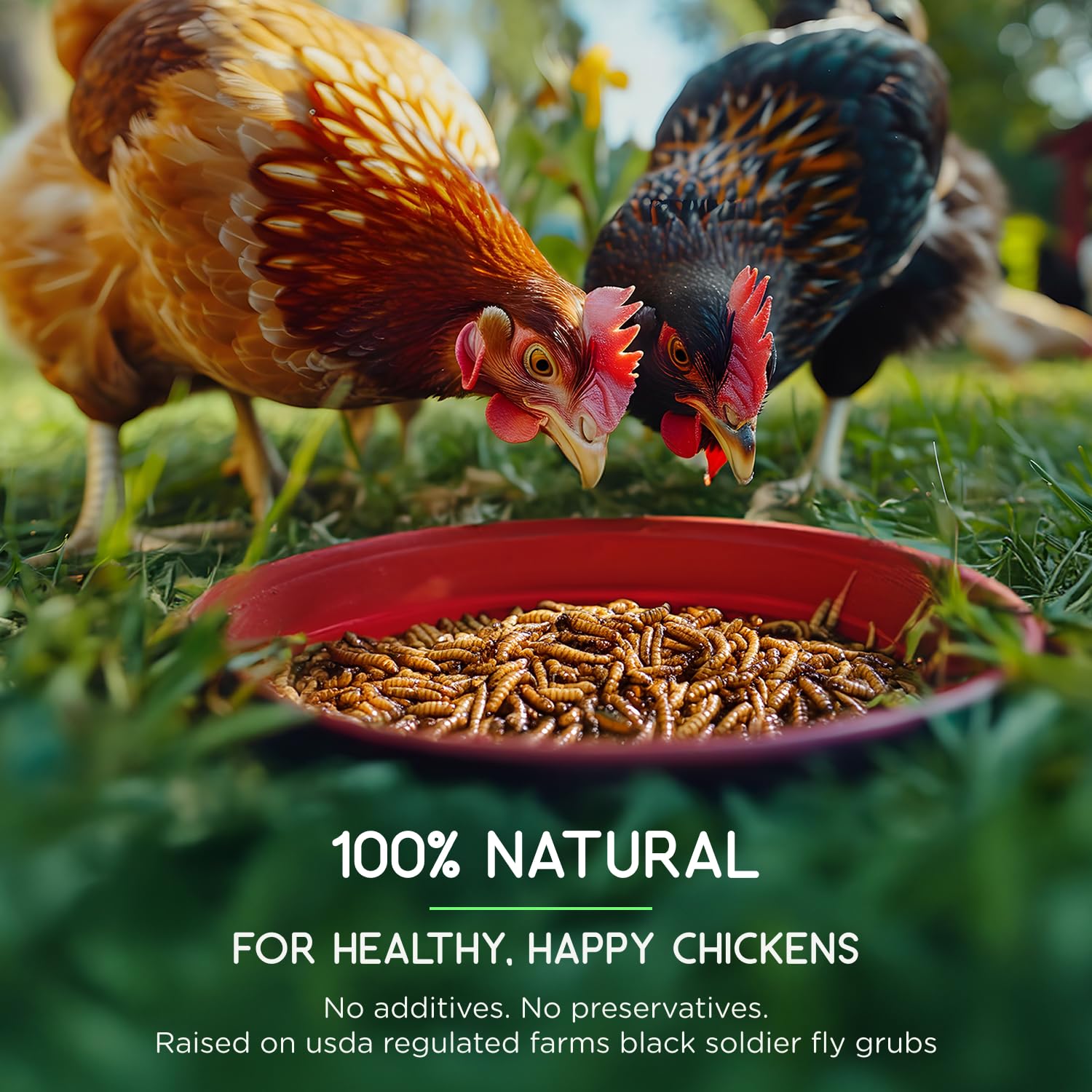 FLYGRUBS resealable packaging keeps larvae fresh for convenient storage and on-the-go feeding.
