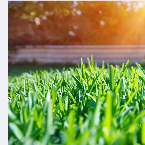 Flyleaf PRO Mo Deck Spray helps clippings slide off more easily during future cleanups.