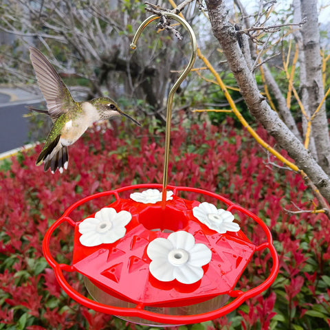 Flylin durable-plastic-hummingbird-flowers long-lasting feeder parts outdoors