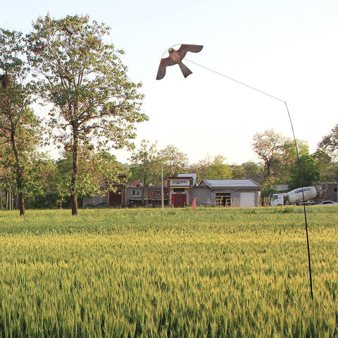 Flyonte Bird Hawk Flying Kite enhances crop protection with wind-powered action.