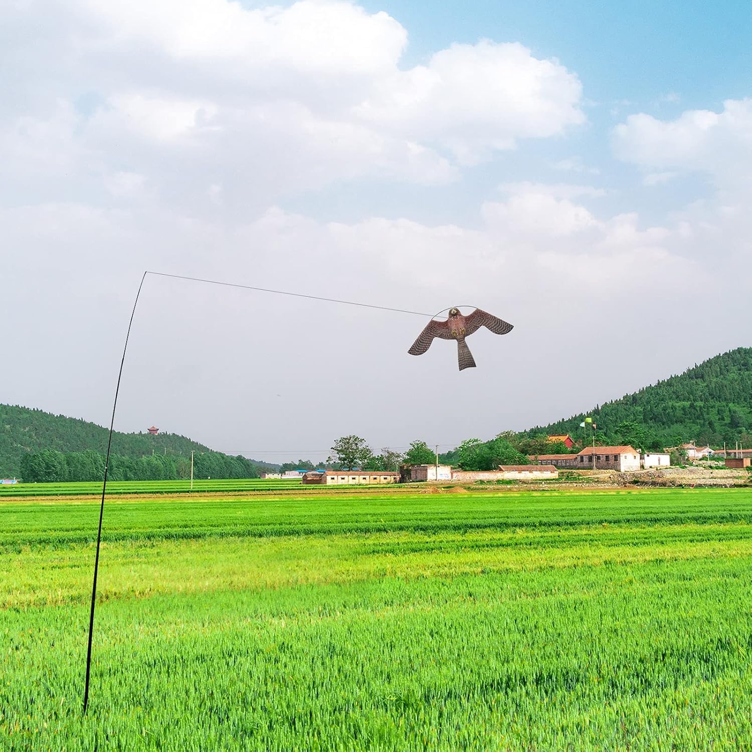 Flyonte Bird Hawk Kite delivers visual deterrence for farms and gardens.