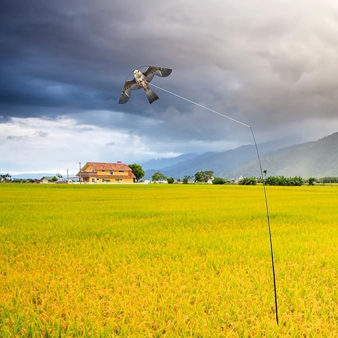 Flyonte easy-to-fly kite performs in light winds with stable balance
