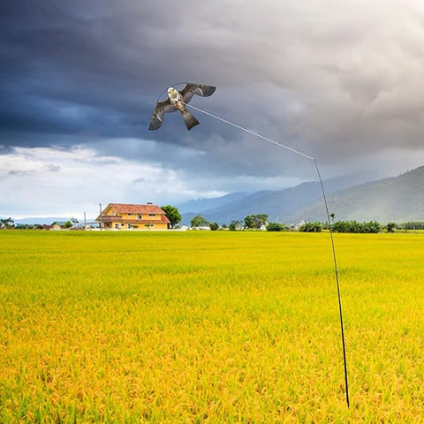 Flyonte easy-to-fly kite performs in light winds with stable balance