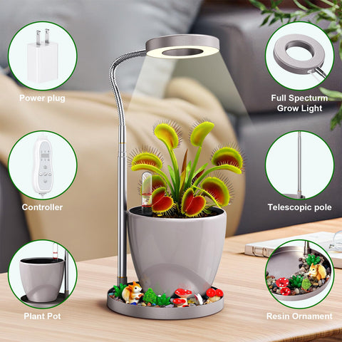Flytraphicle Auto Irrigation System closeup demonstrates steady watering with minimal effort