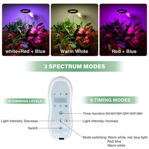 Flytraphicle Butterwort Live Pot image highlights versatile housing and airflow