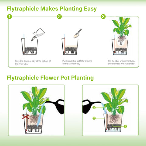 Flytraphicle Gift Pack display offers a ready-made plant-oriented gift