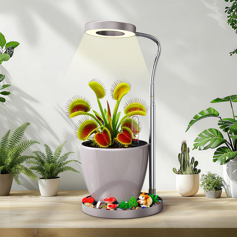 Flytraphicle Office Decor Setup showcases a stylish desk accent with greenery