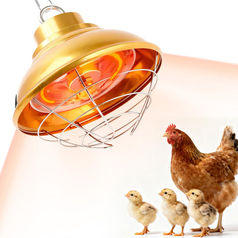 FMATOZ chicken heat lamp 350W for chick warmth in the coop