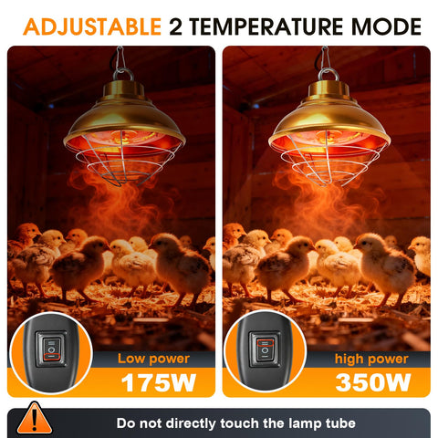 FMATOZ dual-temp heating modes for chick comfort and energy control