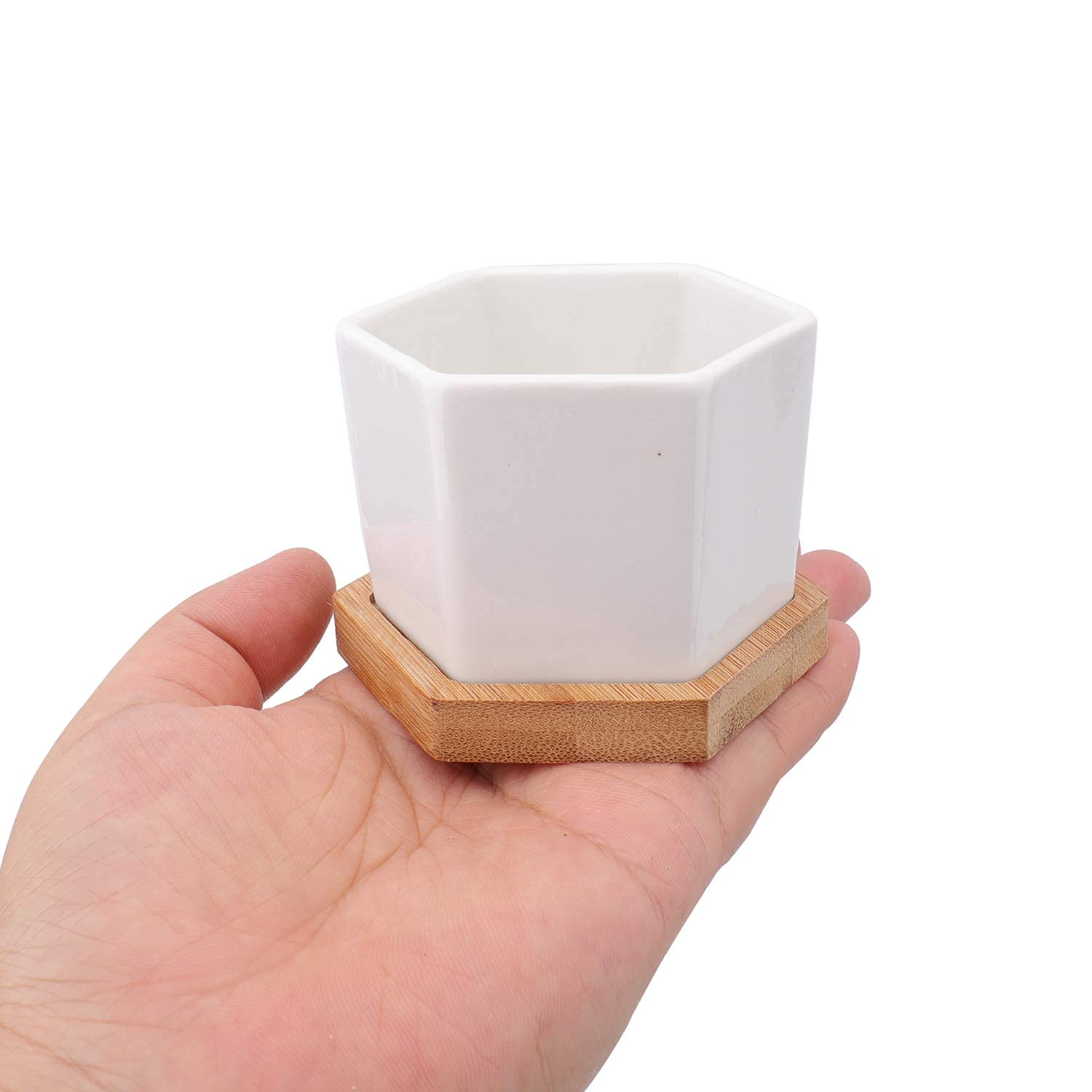 Foraineam hexagonal planter set packaging and components