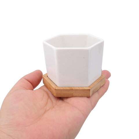 Foraineam hexagonal planter set packaging and components