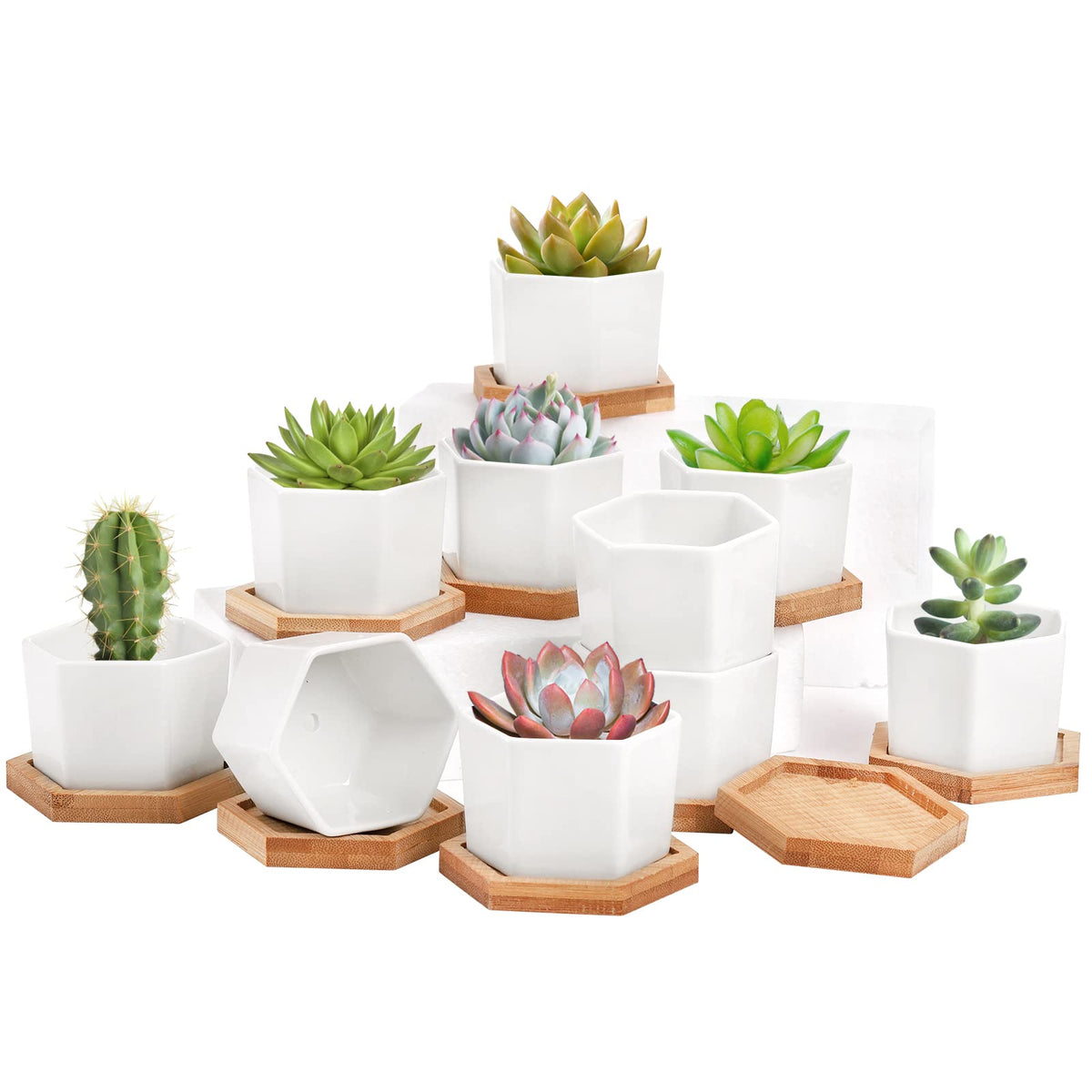 Foraineam hexagonal white ceramic pot close-up for stylish plant display