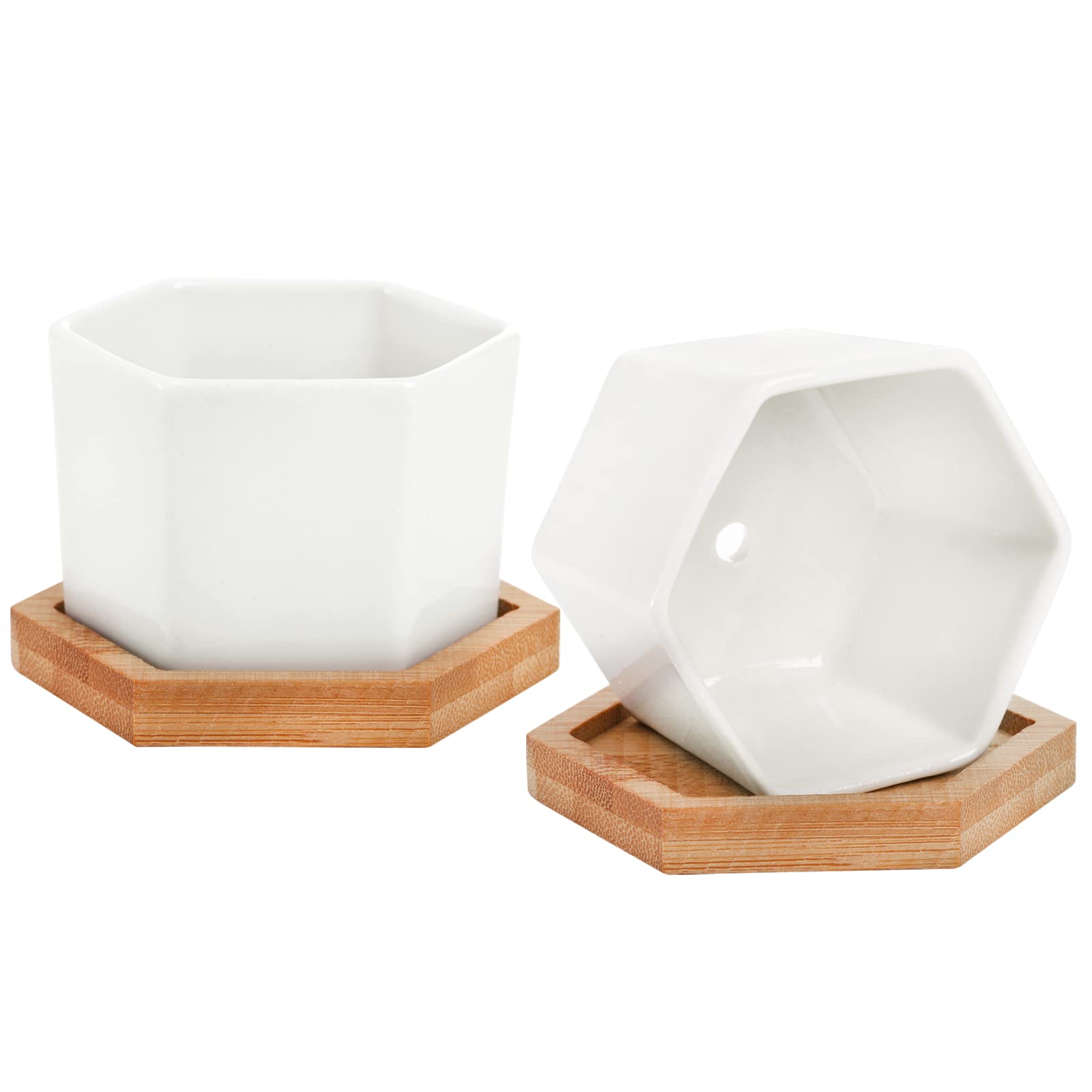 Foraineam indoor display using pots and bamboo trays for greenery