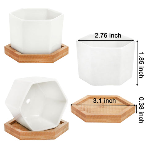 Foraineam white ceramic pot showing drainage hole for plant care