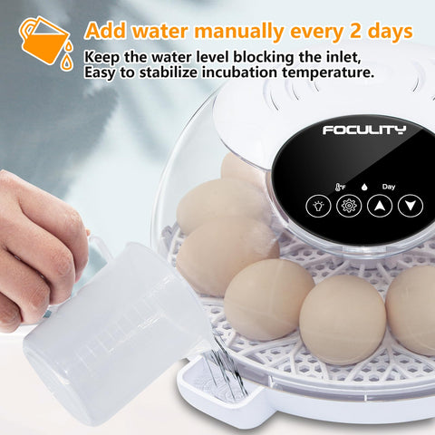 FOCULITY Egg Incubator automatic turning tray supports multiple species hatching