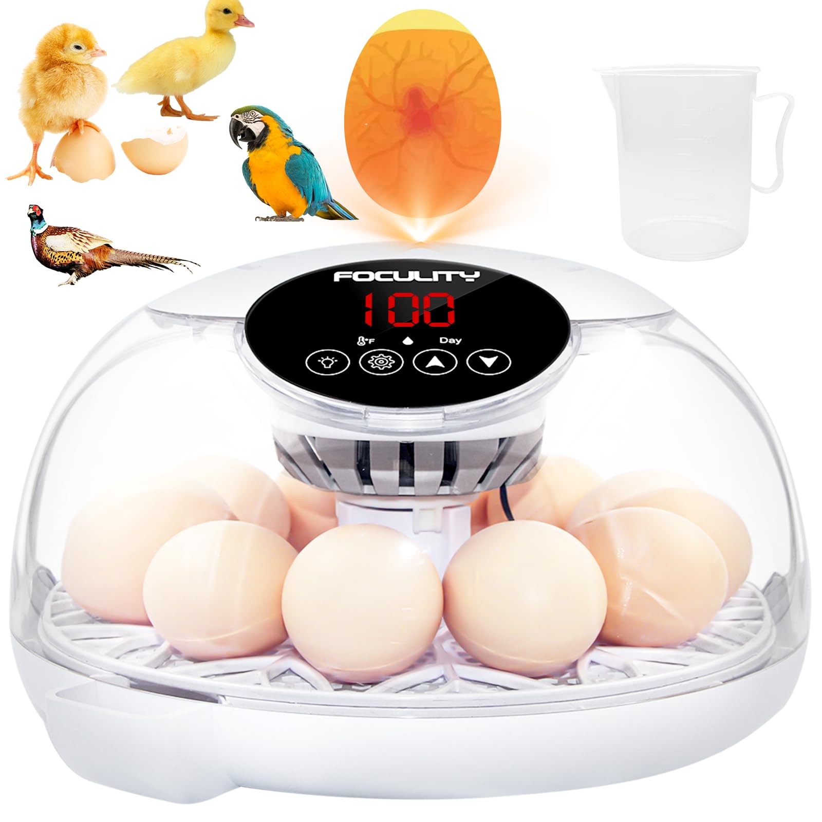 FOCULITY Egg Incubator front view for easy home setup and hatch readiness