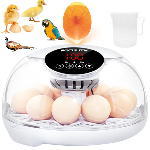 FOCULITY Egg Incubator front view for easy home setup and hatch readiness