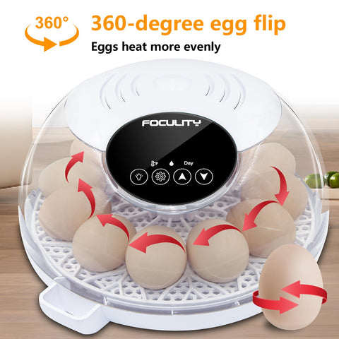 FOCULITY Egg Incubator multi-species tray handles chicken, duck, and quail eggs