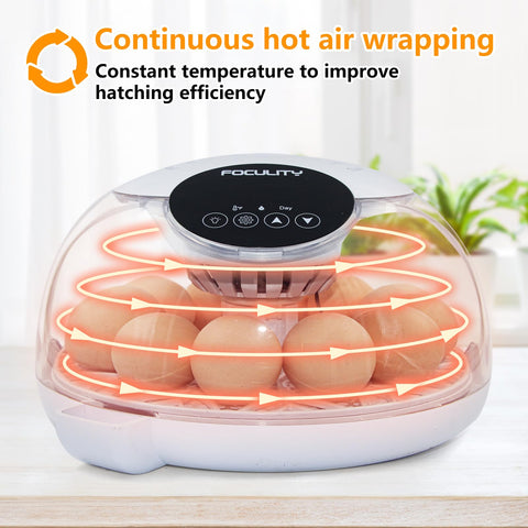 FOCULITY Egg Incubator top cover 360 view enables top-candling observation