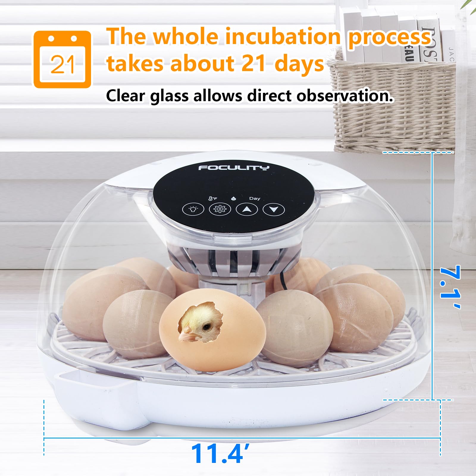 FOCULITY Egg Incubator water-injection system ensures steady humidity across days