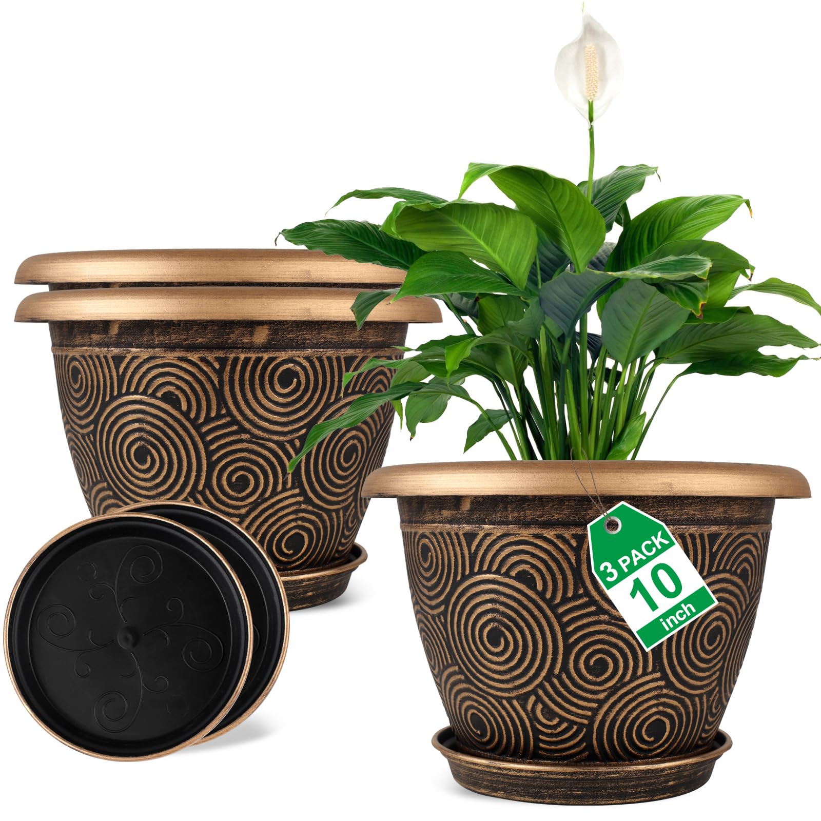 Fodetyff 10-inch planter with circle pattern brightens indoor plant displays.