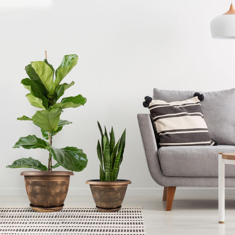Fodetyff 10-inch planter features removable saucer to protect surfaces.