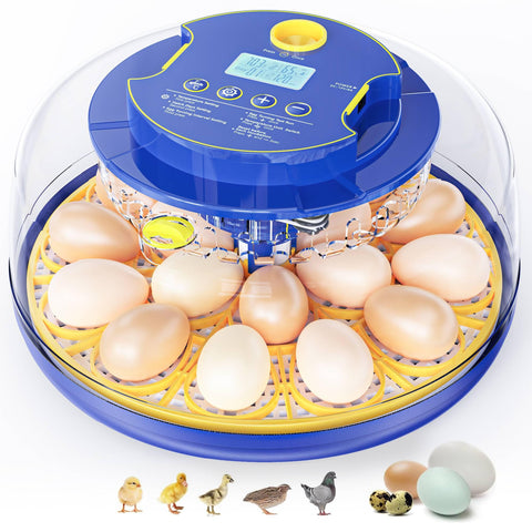 FOFNON egg incubator front view showcases compact home hatchery design.