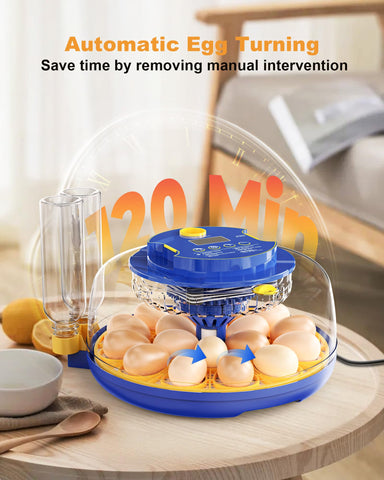 FOFNON 360-degree lid offers full hatching visibility.