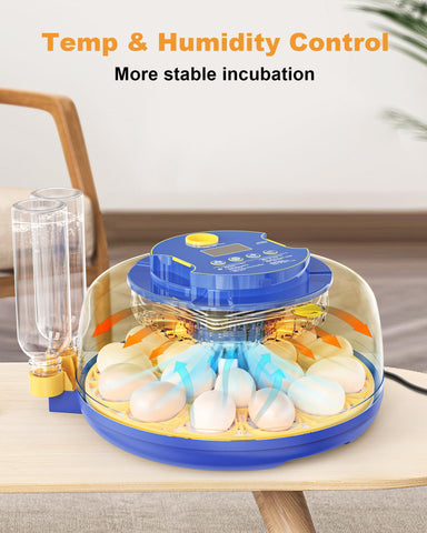 FOFNON built-in candling aids observing embryo development.